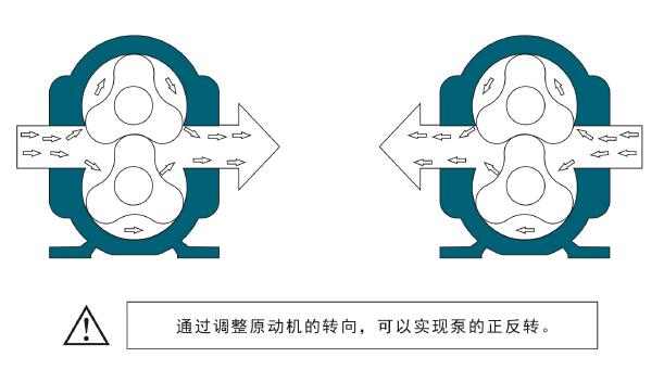 凸輪轉子泵原理.jpg 凸輪轉子泵原理.jpg